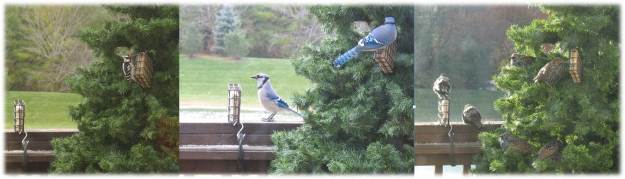 Wild birds in artificial christmas tree 2