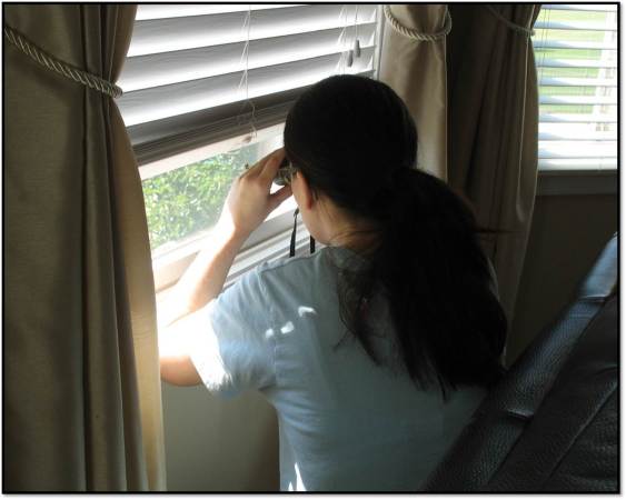 Arden at window bird watching