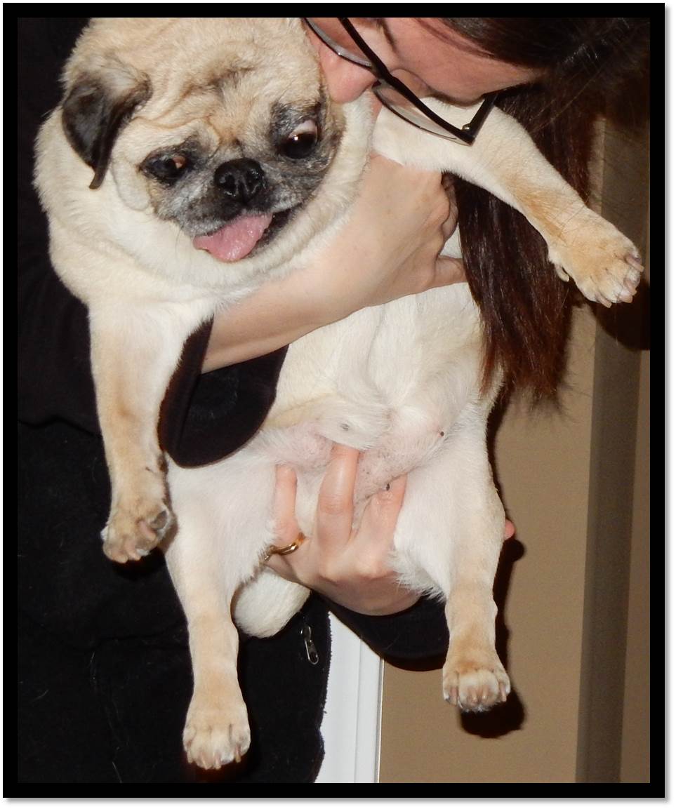 arden smothering peanut in kisses