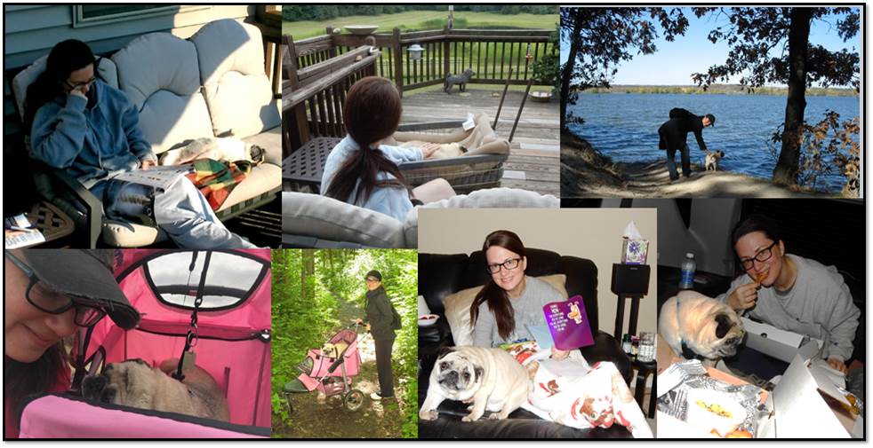 Collage Arden Zich Peanut Pug