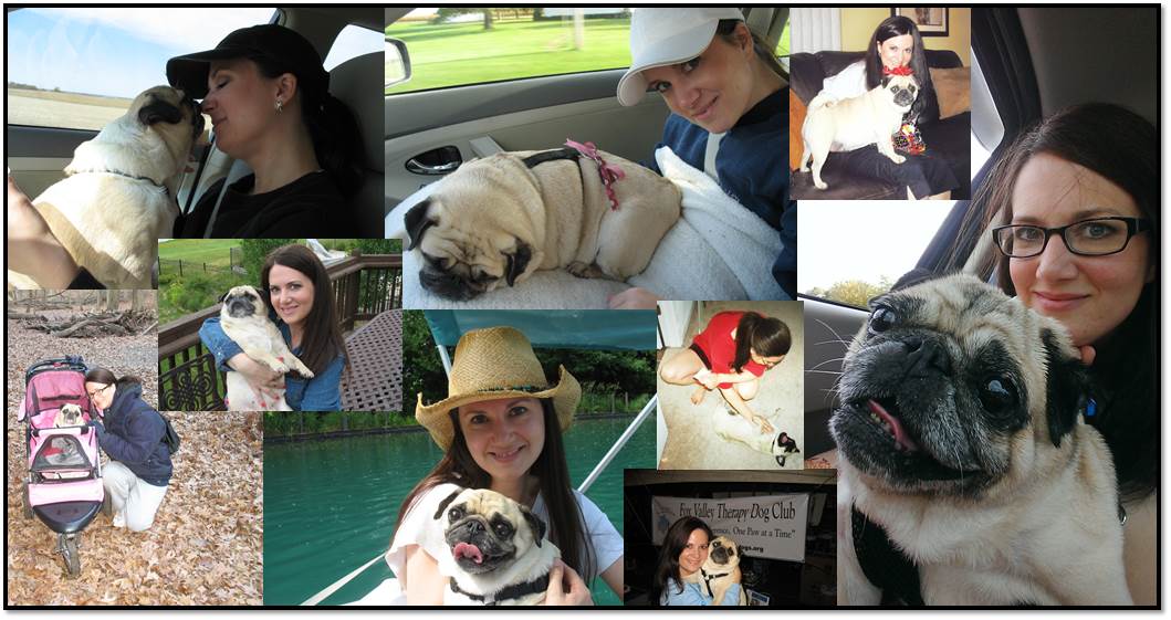 Collage Arden Zich Peanut Pug