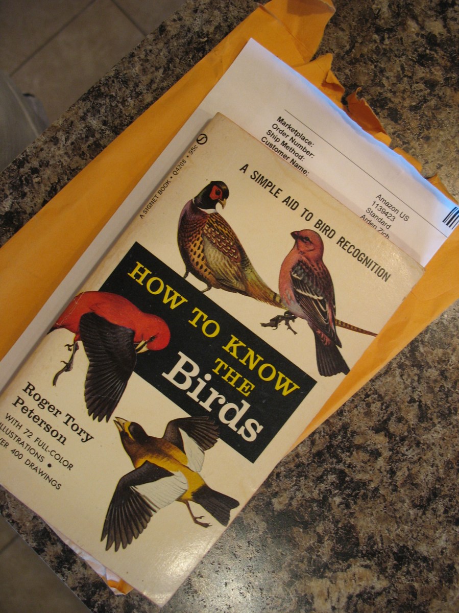 bird book