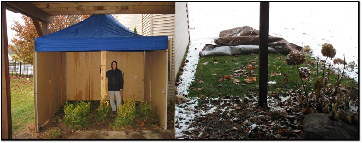 Potty Tent and Potty Tarp for dog to go potty outside
