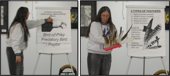 Berni SOAR Raptor Program Feather Demonstration