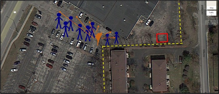 where baby bird was found