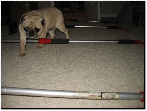 Peanut step over exercises