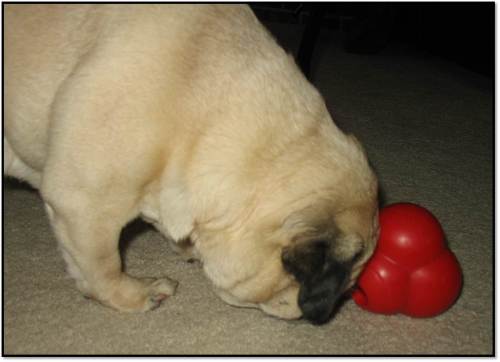 Peanut with treat ball