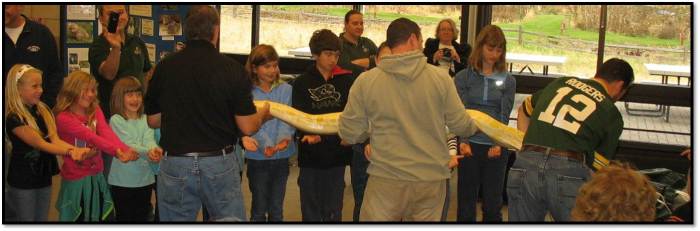 Albino Burmese Python_Blondie_Jim Nesci