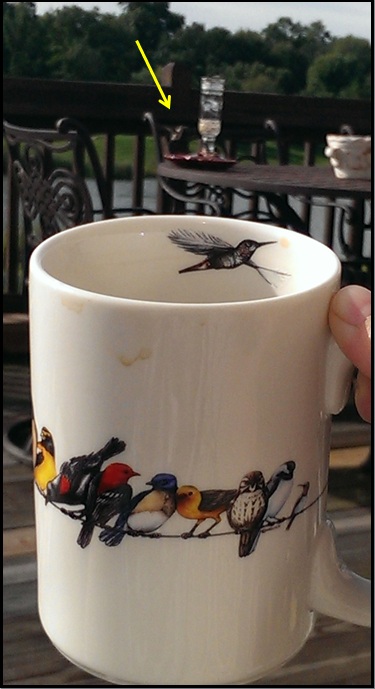 humming bird mug and humming bird 2