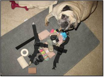 Blooper photo_Stopping Peanut from Slipping