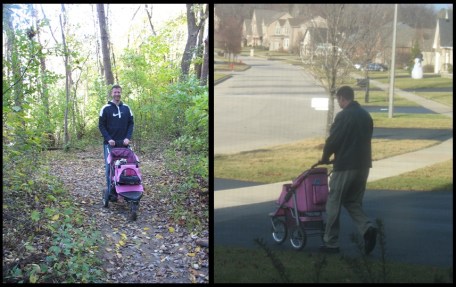 Joel walks Peanut in buggy dog stroller