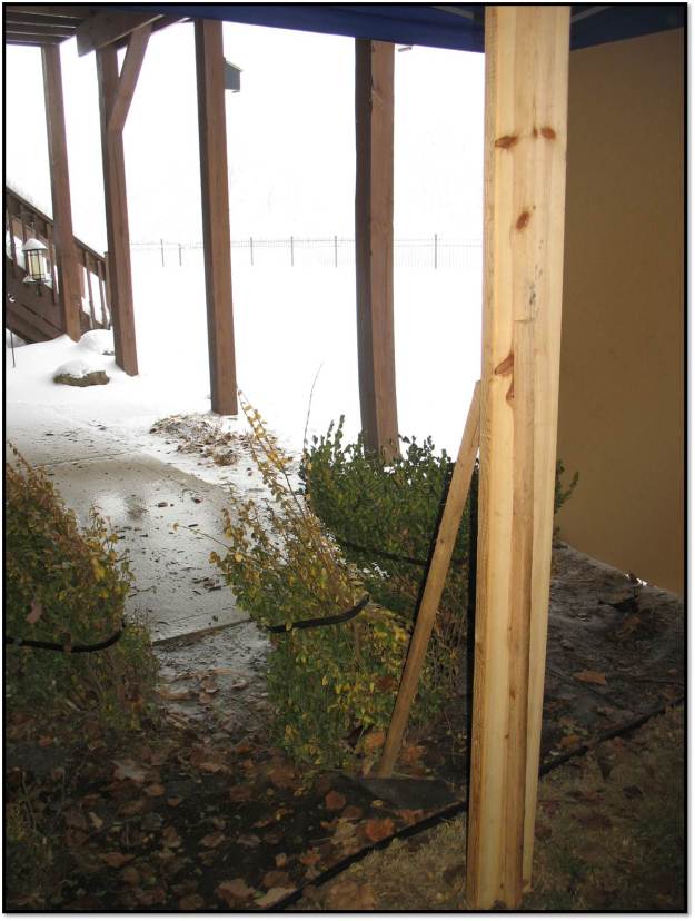 view from inside the potty tent