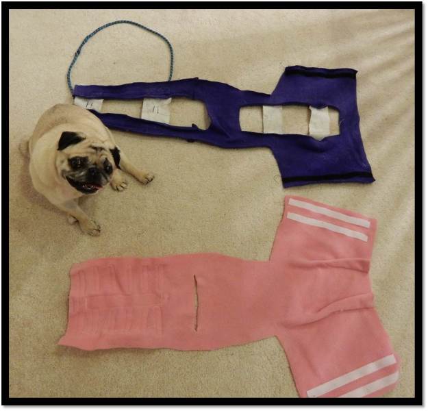 Summer and winter weight home made dog coat