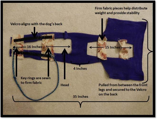 Summer weight dog harness details