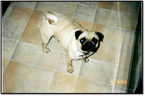 Peanut 5 4 04 Homecoming