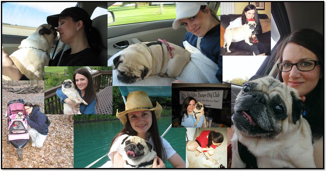 Collage Arden Zich Peanut Pug