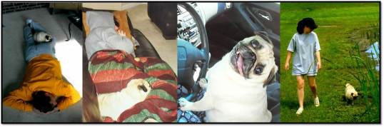 peanutisupforanything