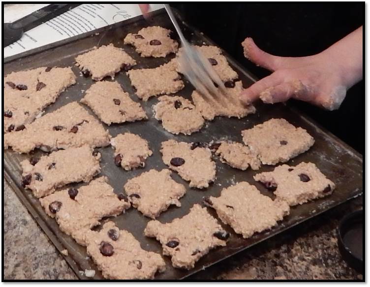 Home made cookie dog pet healthy