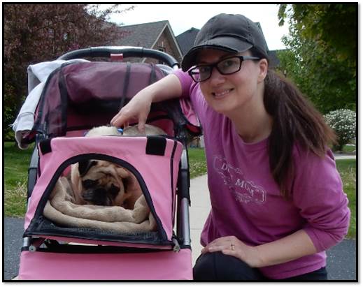 Arden Zich Peanut pug dog buggy