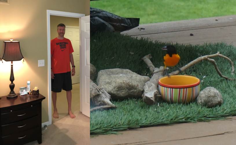 Joel in Baltimore Oriole Colors