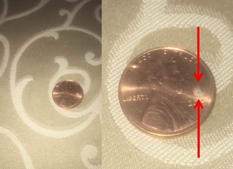 Goldfinch feather on penny