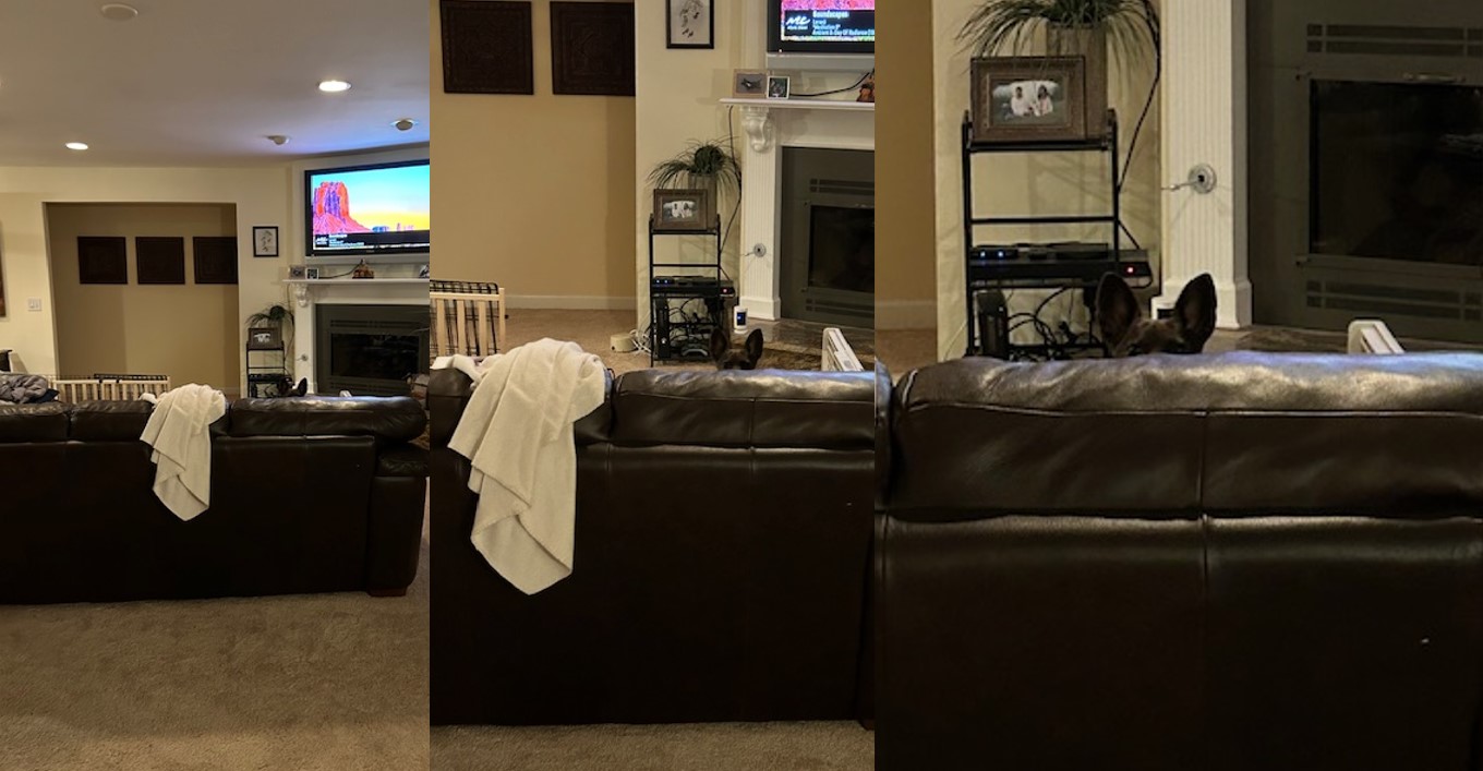 Pen peeking at me from couch